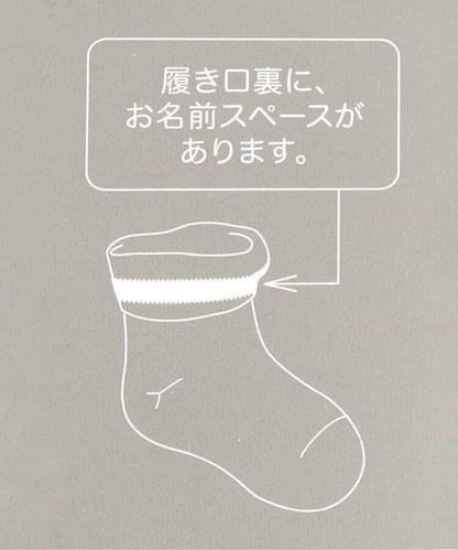3P套裝 總花紋透明長襪