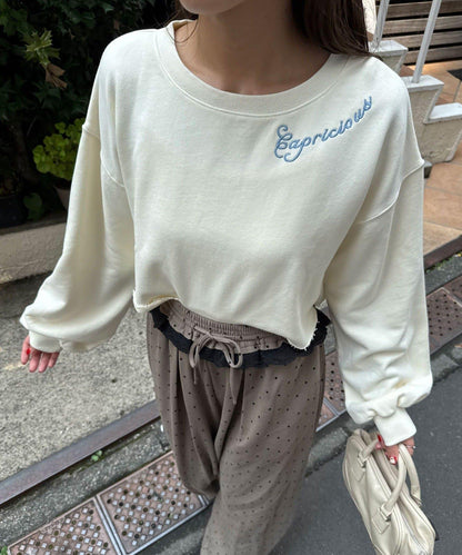 領部刺繡顏料短款衛衣