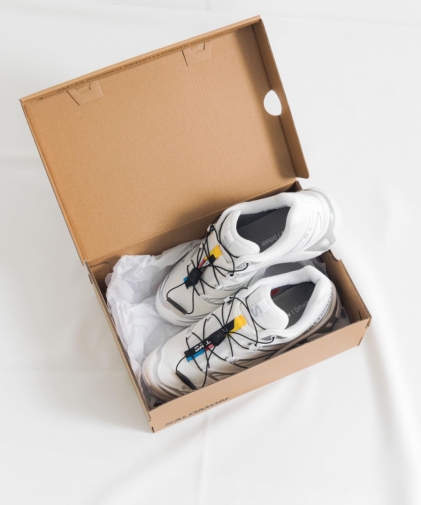 SALOMON XT-6 GTX 鞋