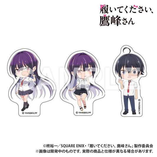 TV動畫《請穿上吧，鷹峰同學》_貼紙套裝