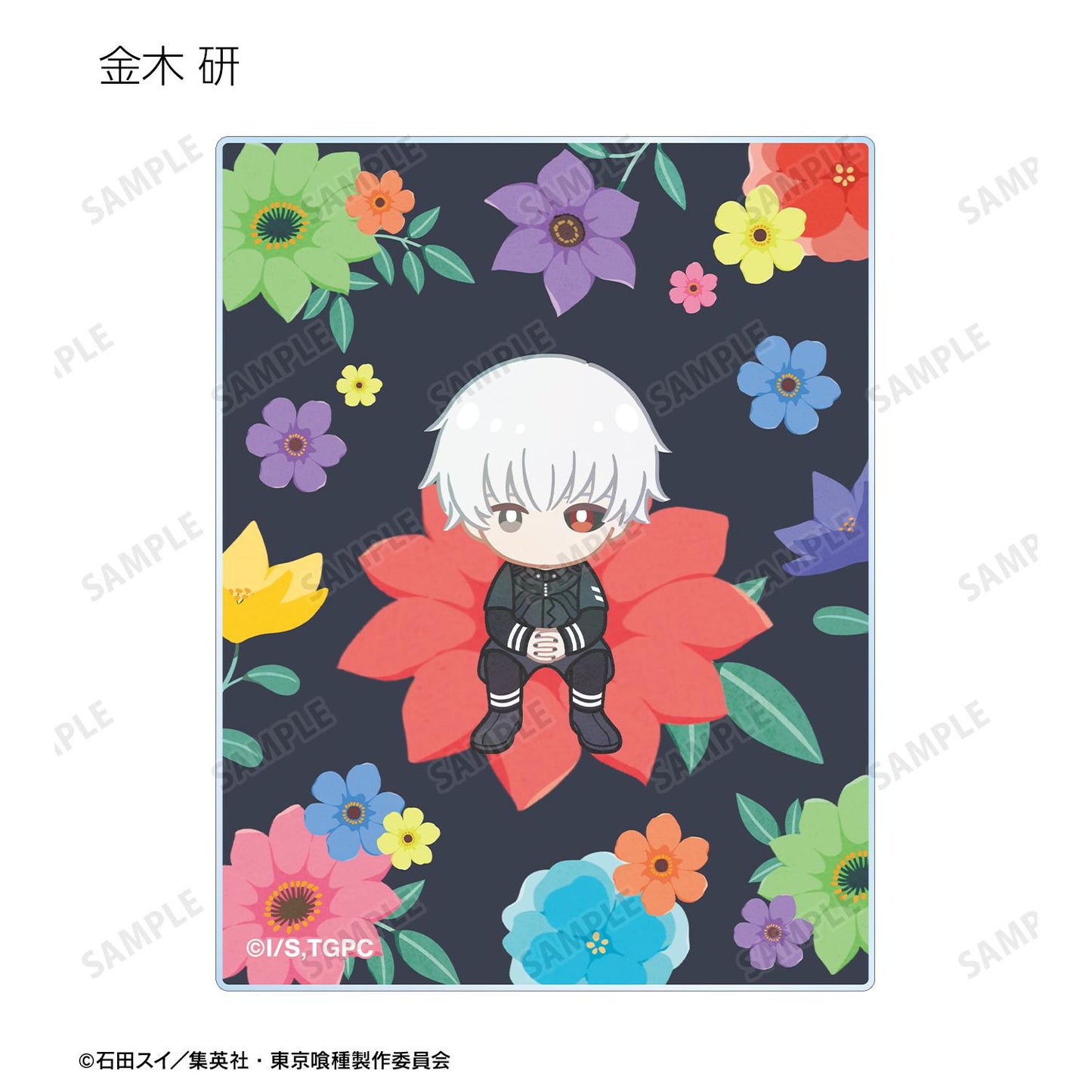 《東京喰種》 Botania系列亞克力卡片（單品/全套BOX）【BOX/8包入】