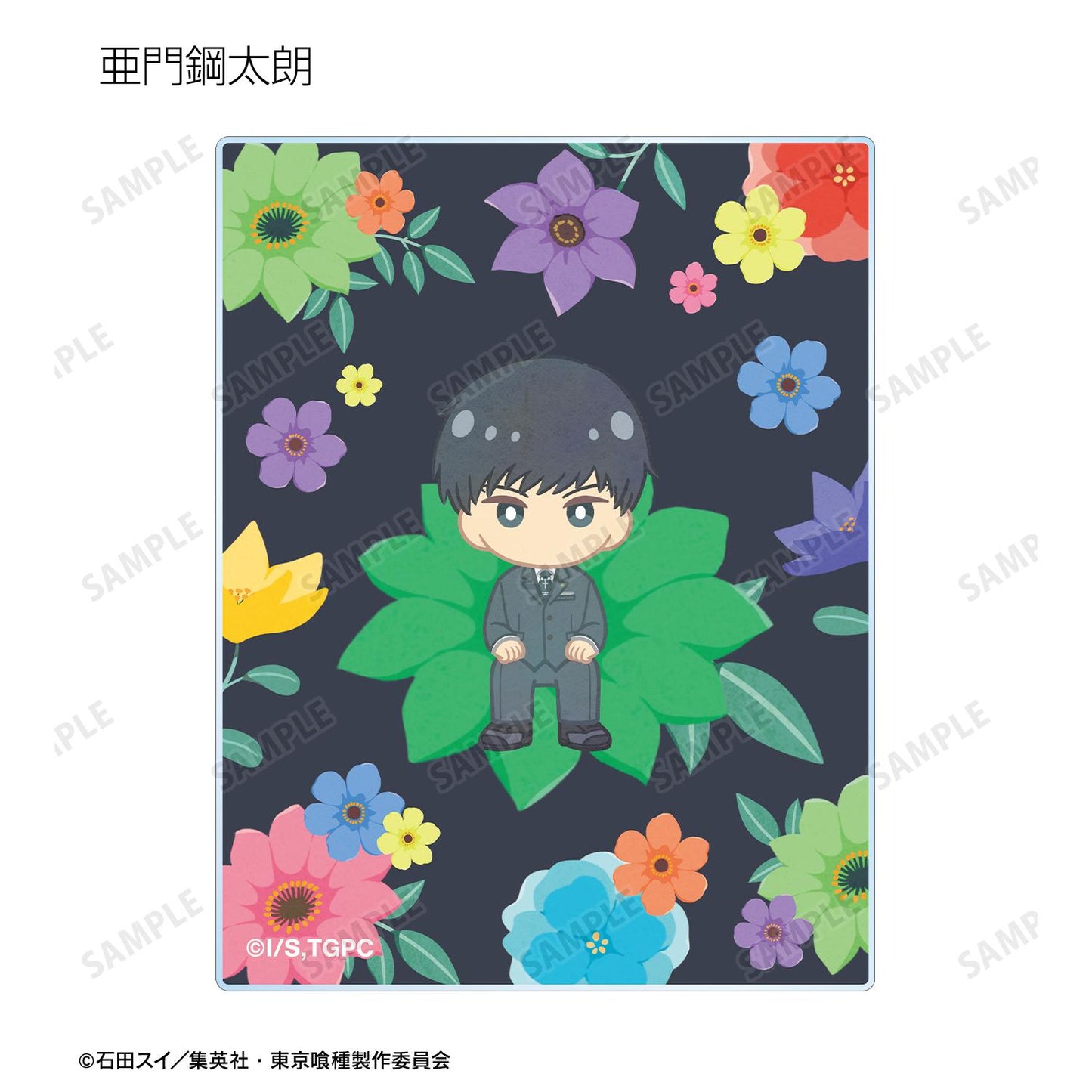 《東京喰種》 Botania系列亞克力卡片（單品/全套BOX）【BOX/8包入】