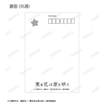 薰香花朵傲然綻放_ちびとこ 明信片6張套裝