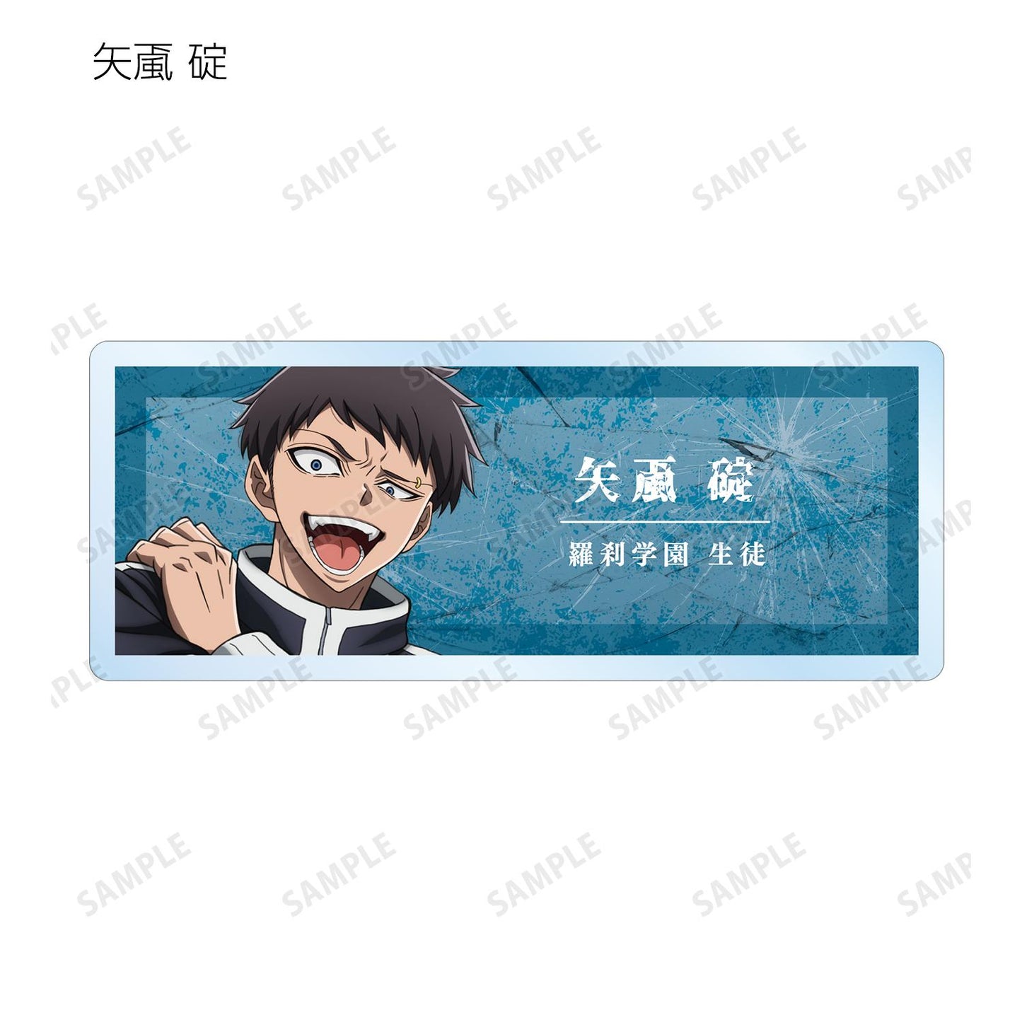 《桃源暗鬼》 隨機款亞克力姓名牌（單品/全套BOX）【BOX/11包入】