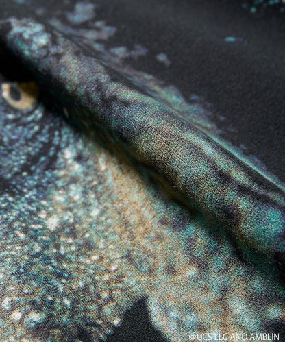 侏羅紀公園霸王龍