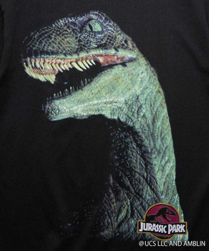 侏羅紀公園迅猛龍