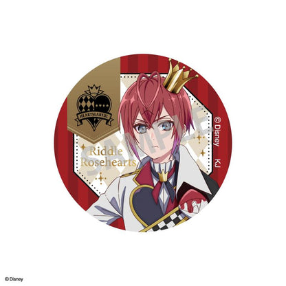 《迪士尼》扭曲仙境 動畫版 隨機金箔壓印徽章【BOX／5個裝】