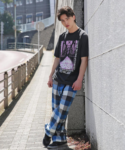 MANASTASH/HEMP TEE TRESTLE 大麻纖維短袖T恤