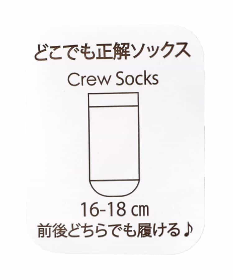 3雙裝 通用款襪子