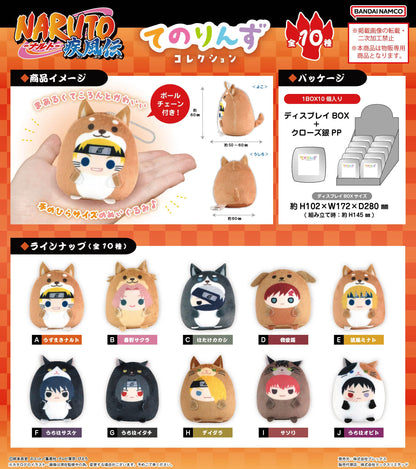 《火影忍者》疾風傳_NT-38 手辦收藏【BOX／10個裝】