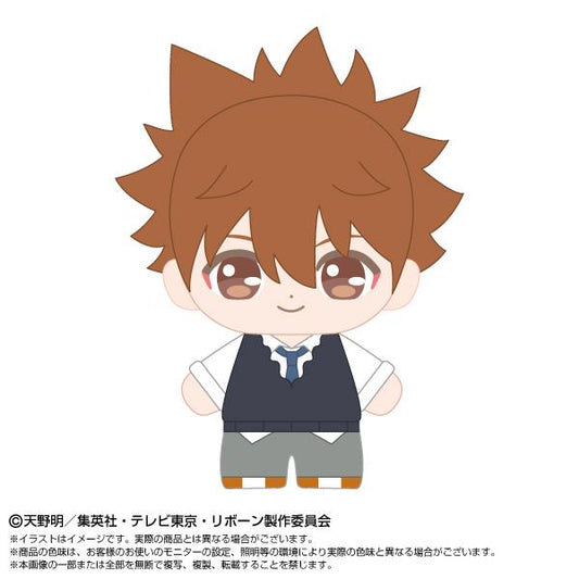 《家庭教師HITMAN REBORN!》 迷你毛絨公仔 沢田綱吉