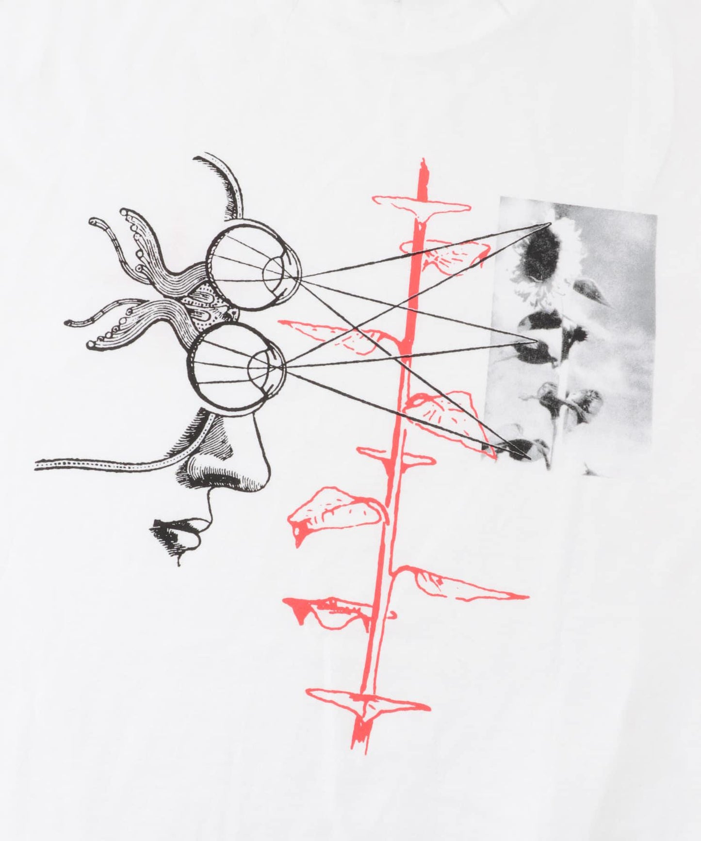 carhartt 短袖印花T恤