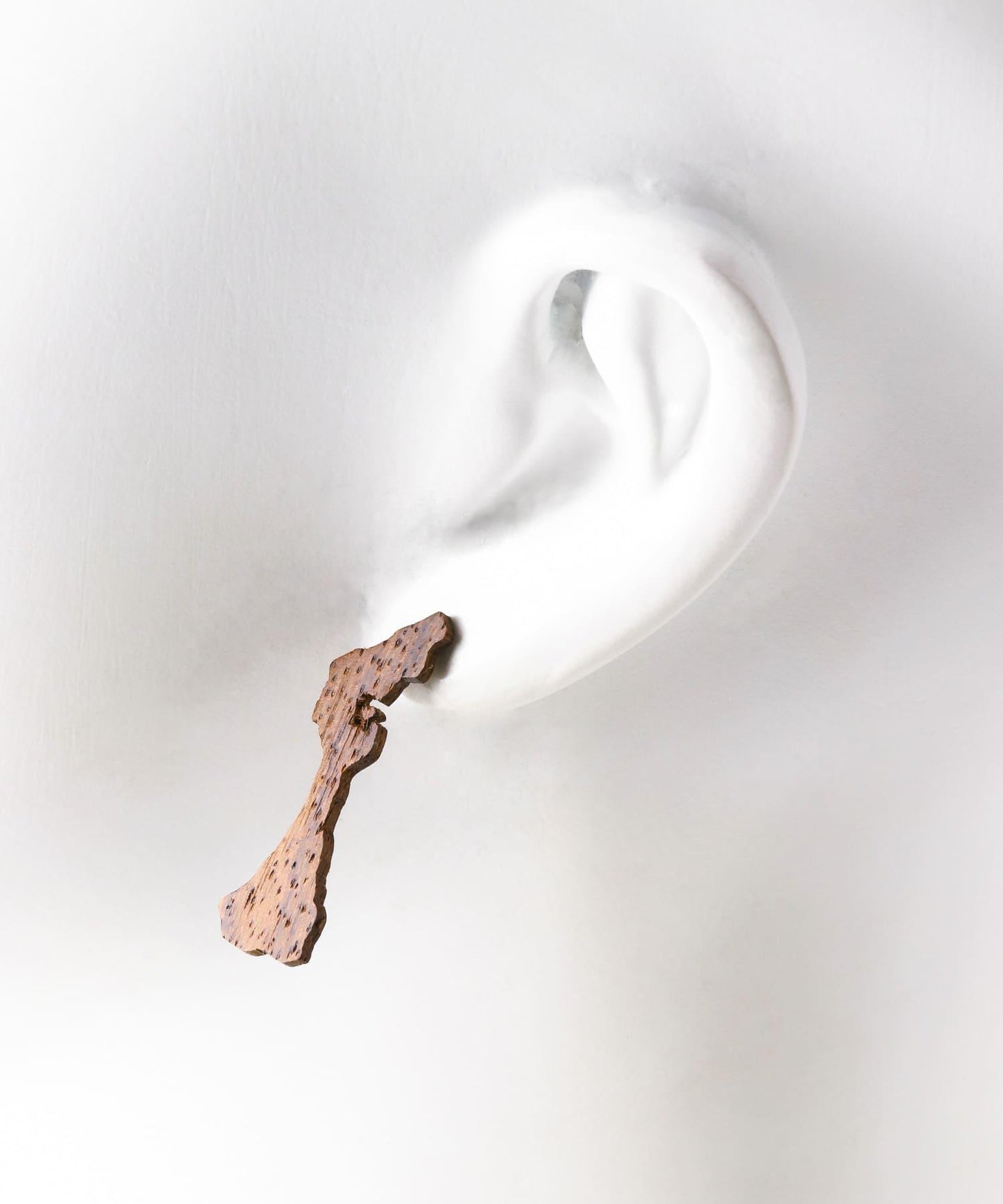 近現代撥絃樂器 石川縣耳環