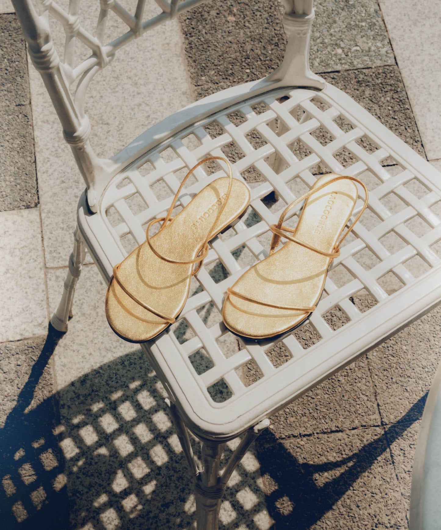 LAOCOONTE ALUA Century