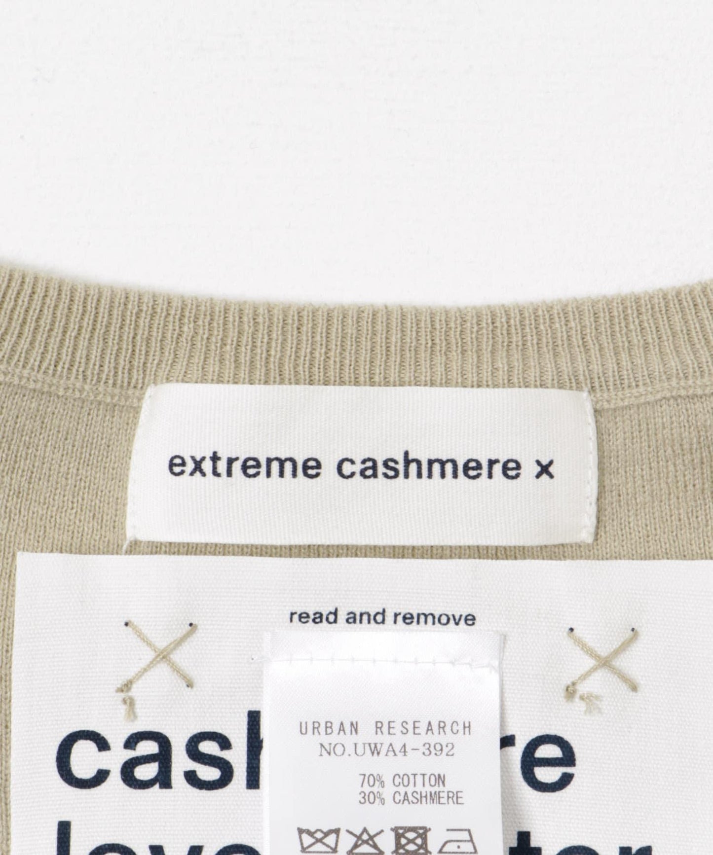 Extreme Cashmere 鰻魚