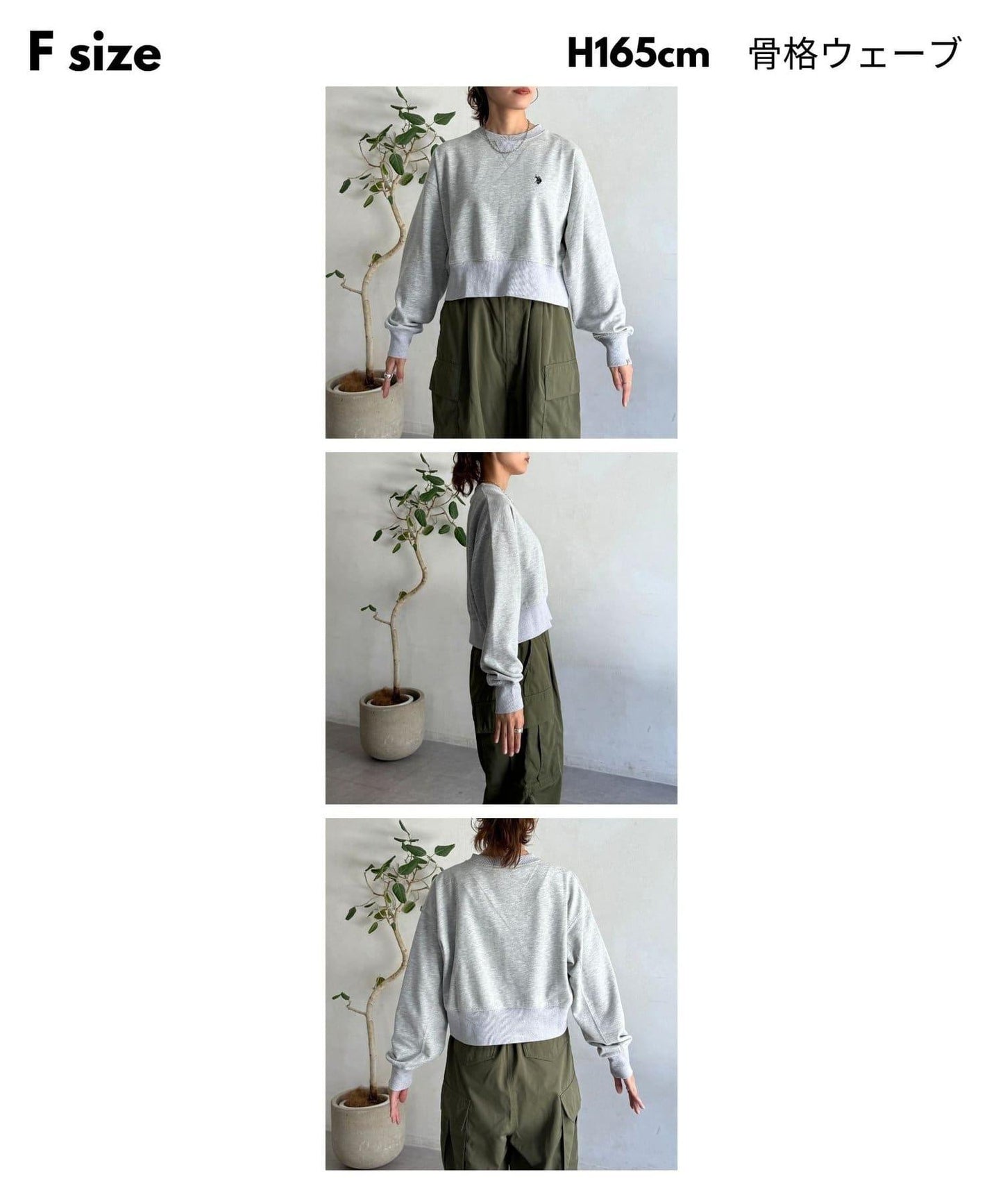 【U.S. POLO ASSN.】短款衛衣