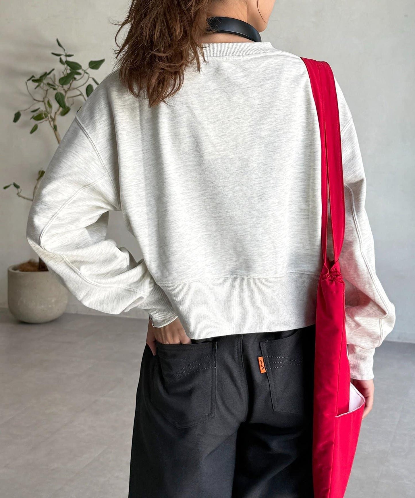 【U.S. POLO ASSN.】短款衛衣