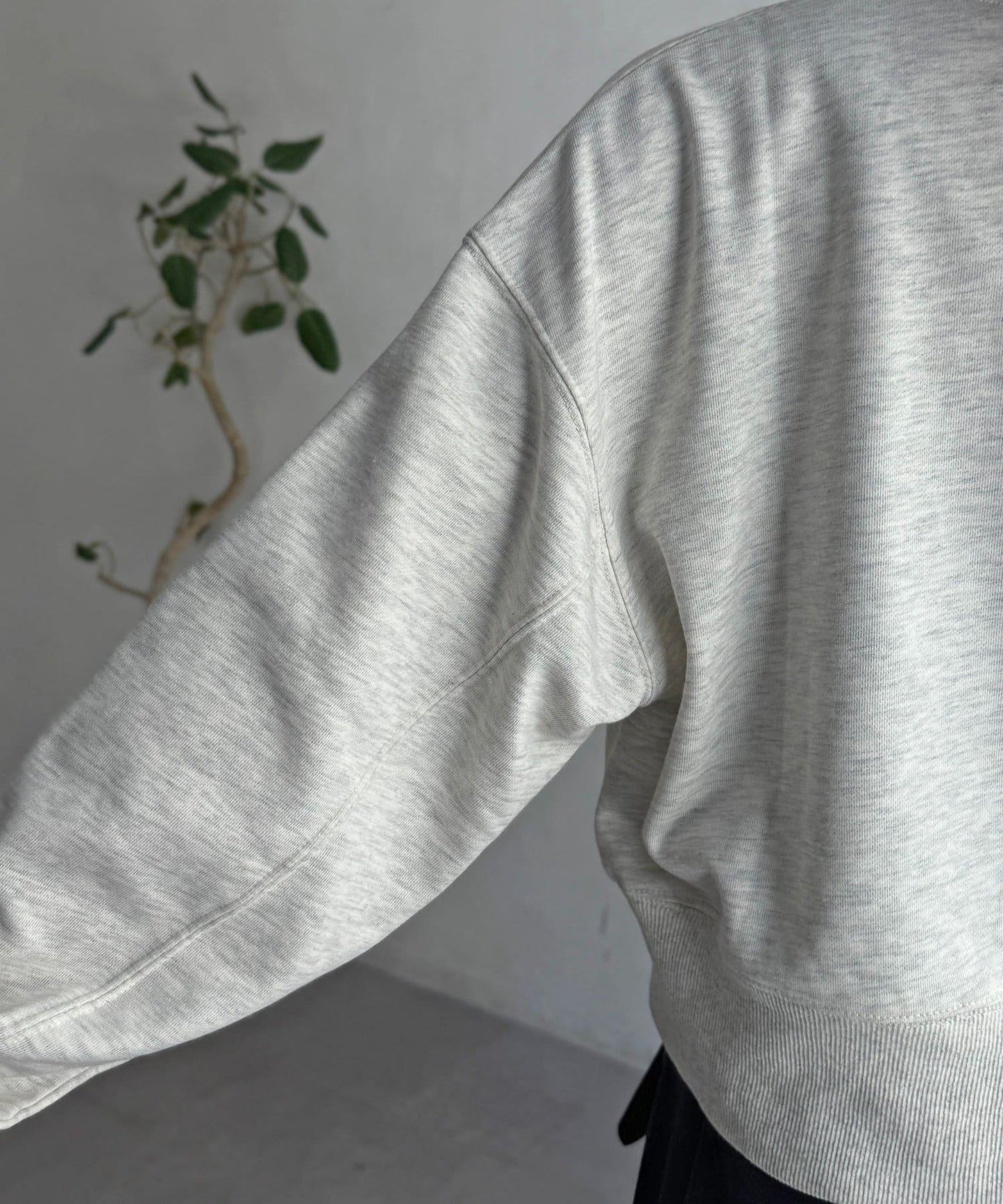 【U.S. POLO ASSN.】短款衛衣