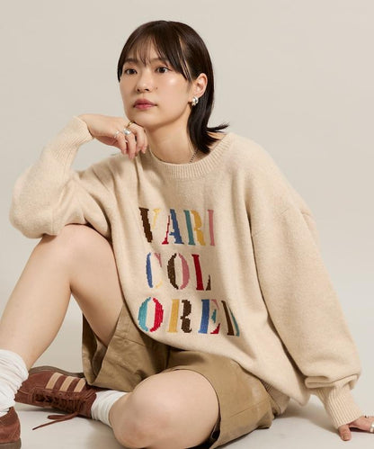 彩色刺繡標誌針織衫