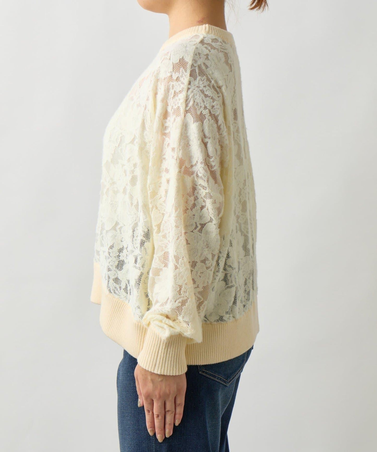 高雅透視感磨毛蕾絲套頭衫