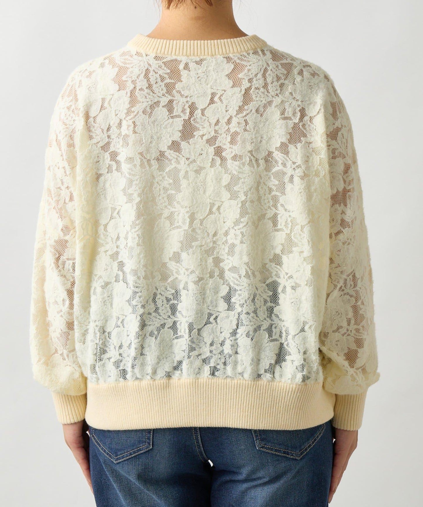 高雅透視感磨毛蕾絲套頭衫