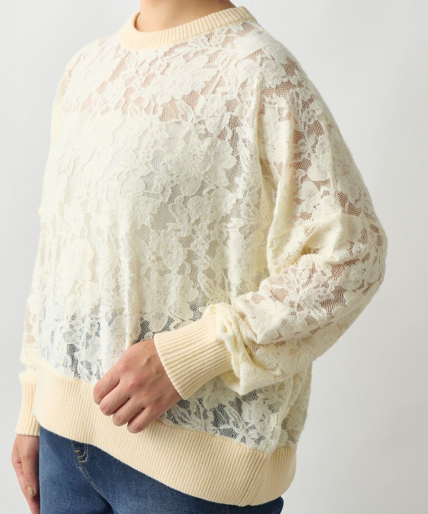 高雅透視感磨毛蕾絲套頭衫
