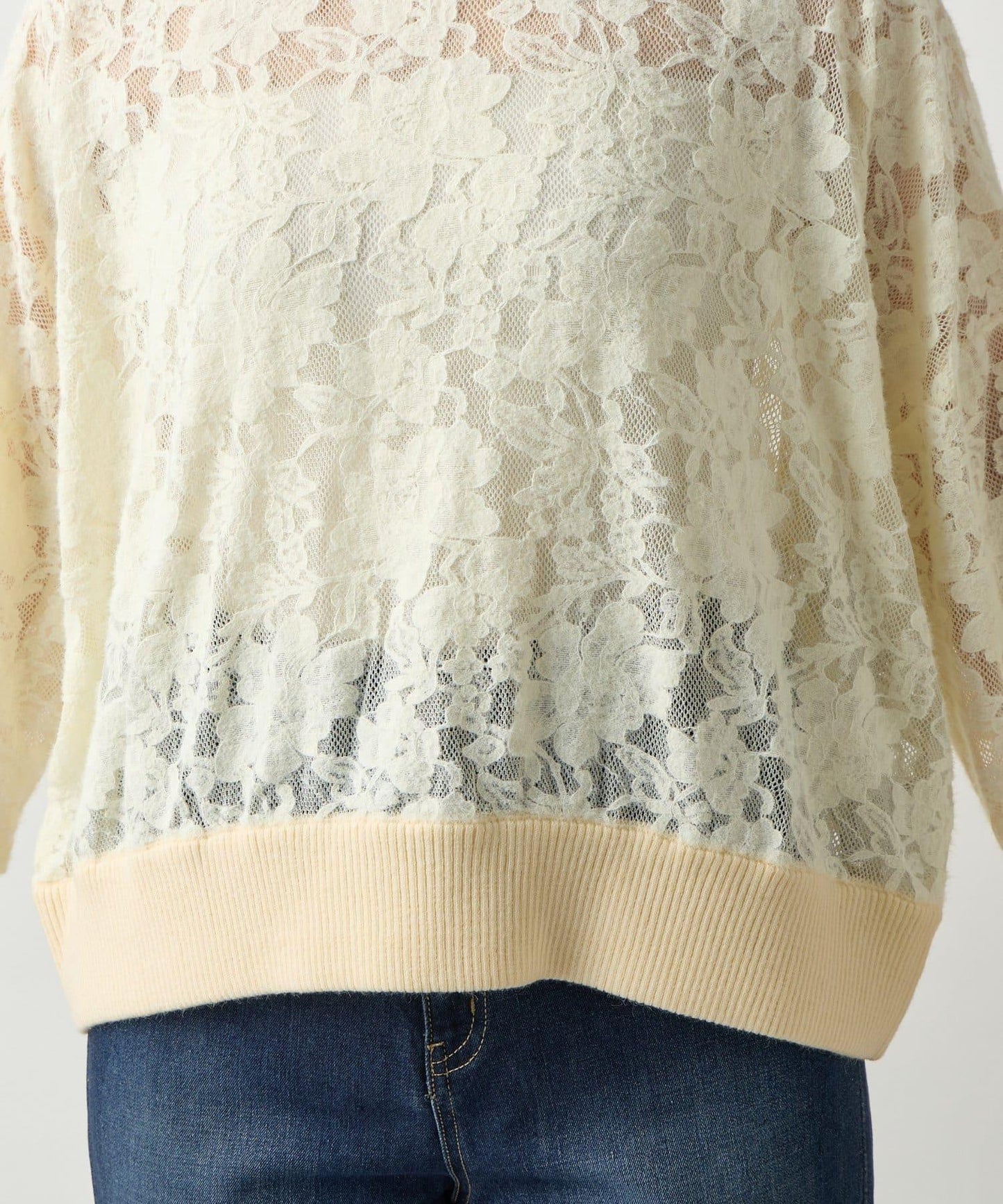 高雅透視感磨毛蕾絲套頭衫