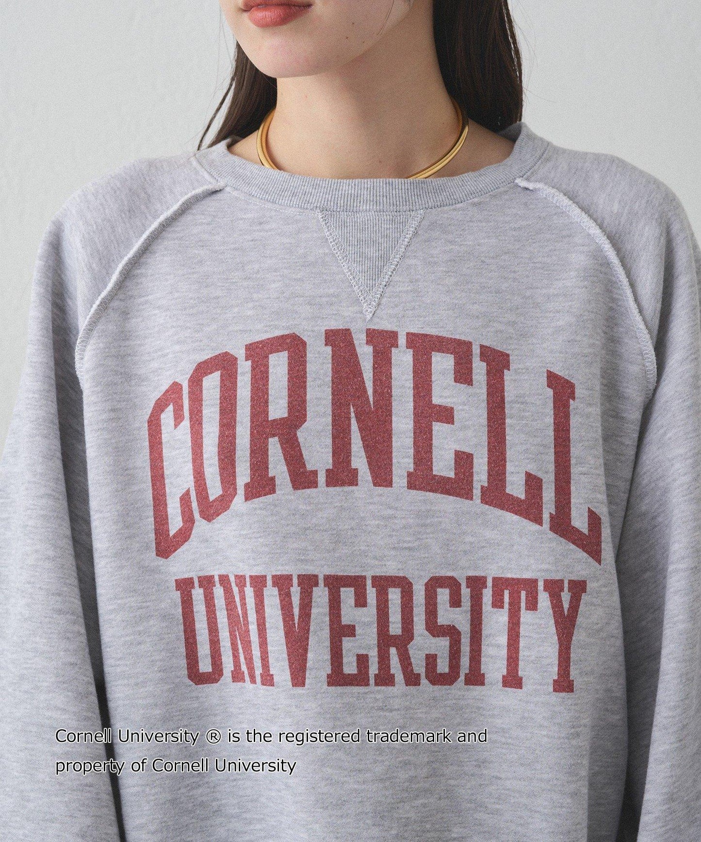 【GOOD ROCK SPEED】GOOD ROCK CORNEL 衛衣