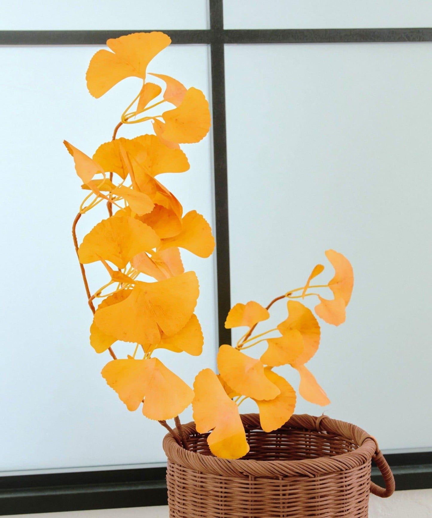 イチョウの枝