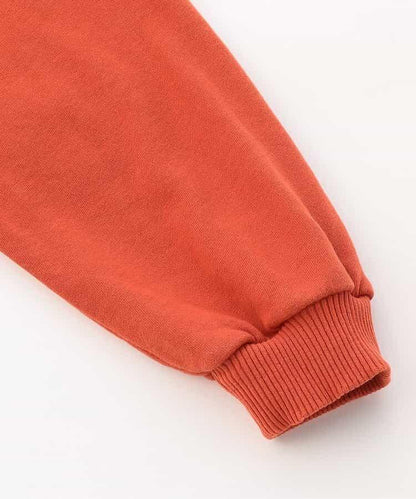 【リンク】學院風標誌連帽衛衣（成人款）