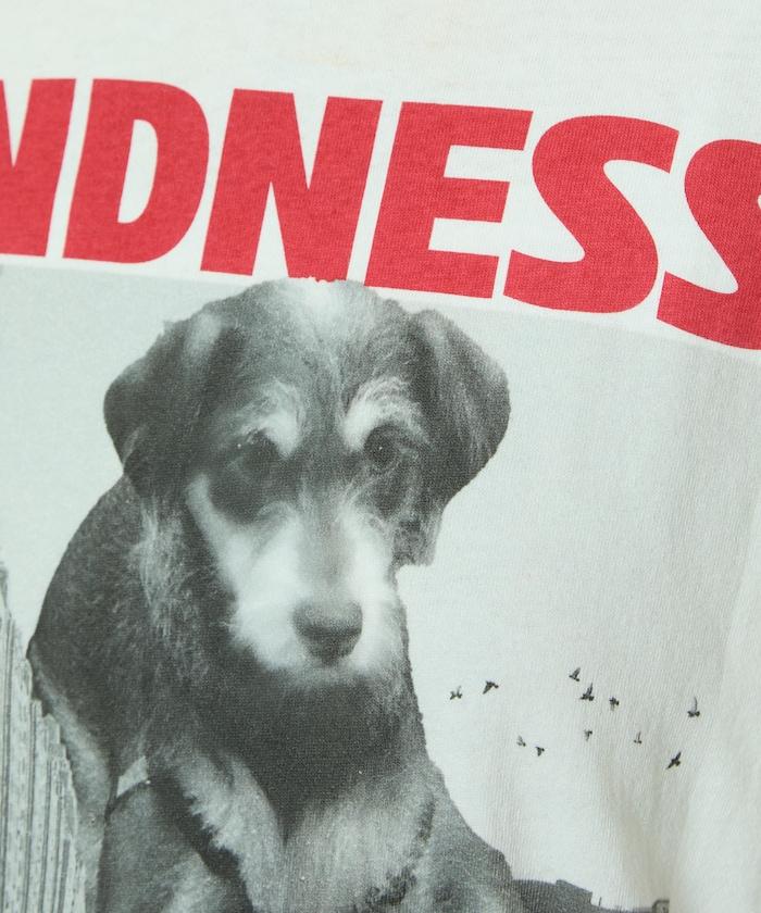 DOG PHOTO/狗狗照片印花長袖T恤