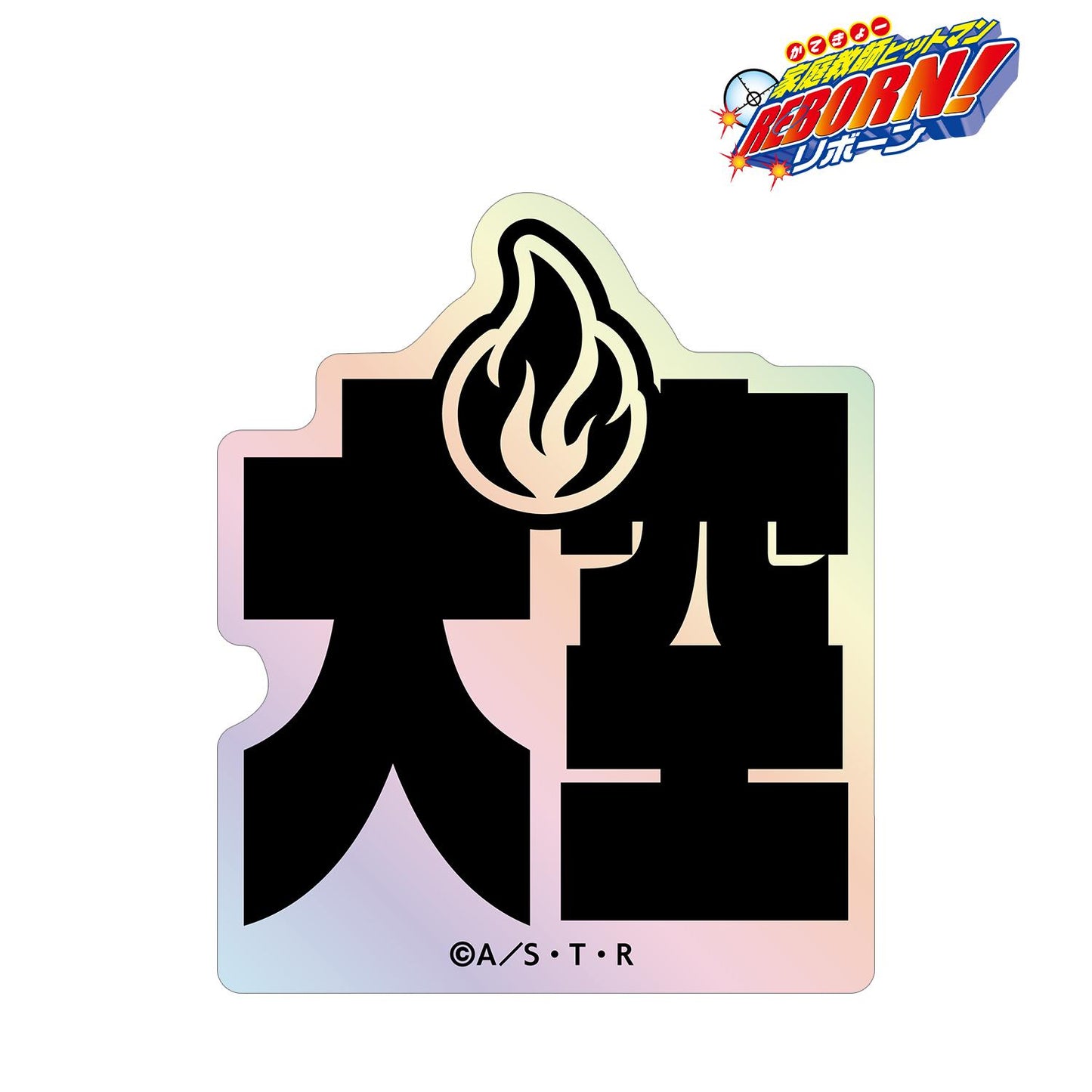 《家庭教師HITMAN REBORN!》 沢田綱吉 ar-Unity元素姓名設計極光貼紙