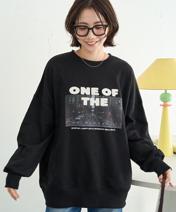 照片印花 × 縮絨刺繡 裡毛衛衣套頭衫