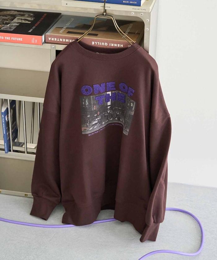 照片印花 × 縮絨刺繡 裡毛衛衣套頭衫