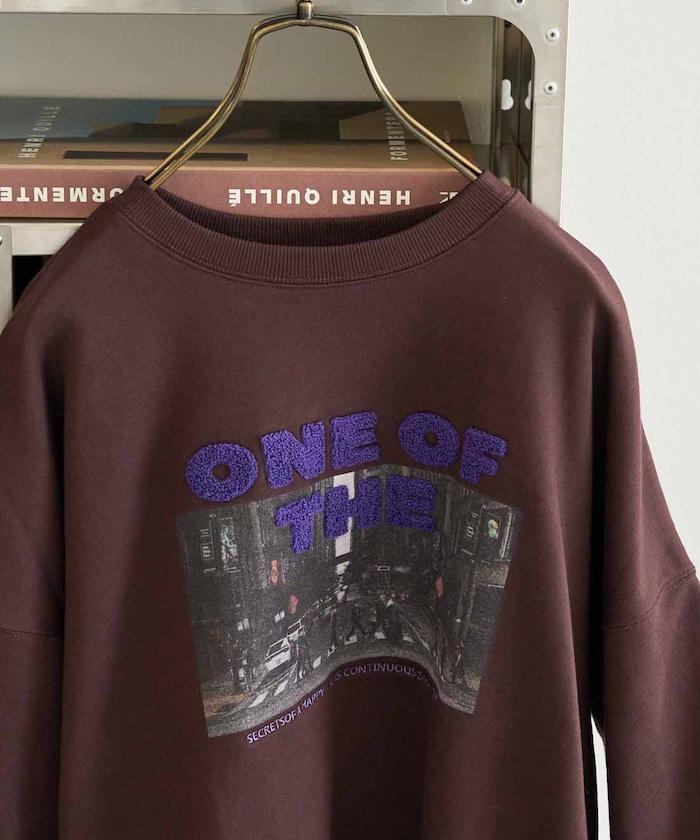 照片印花 × 縮絨刺繡 裡毛衛衣套頭衫