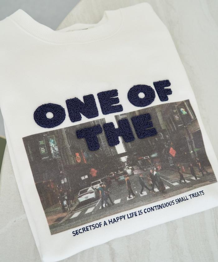 照片印花 × 縮絨刺繡 裡毛衛衣套頭衫