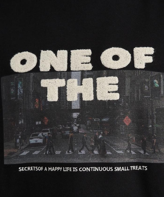 照片印花 × 縮絨刺繡 裡毛衛衣套頭衫