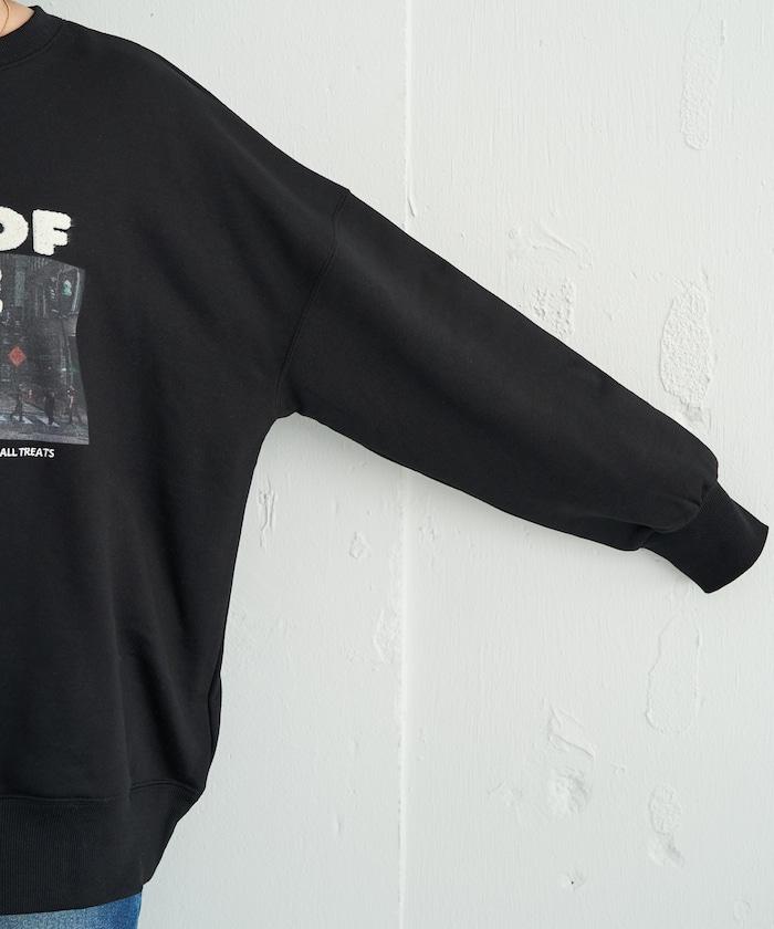 照片印花 × 縮絨刺繡 裡毛衛衣套頭衫