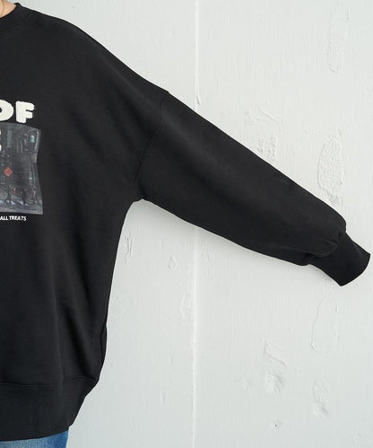 照片印花 × 縮絨刺繡 裡毛衛衣套頭衫