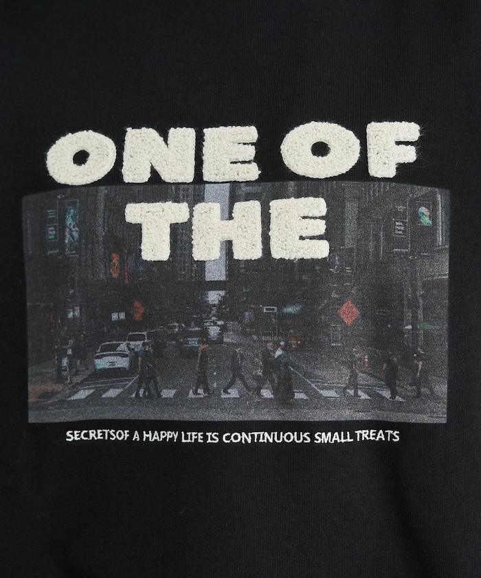 照片印花 × 縮絨刺繡 裡毛衛衣套頭衫