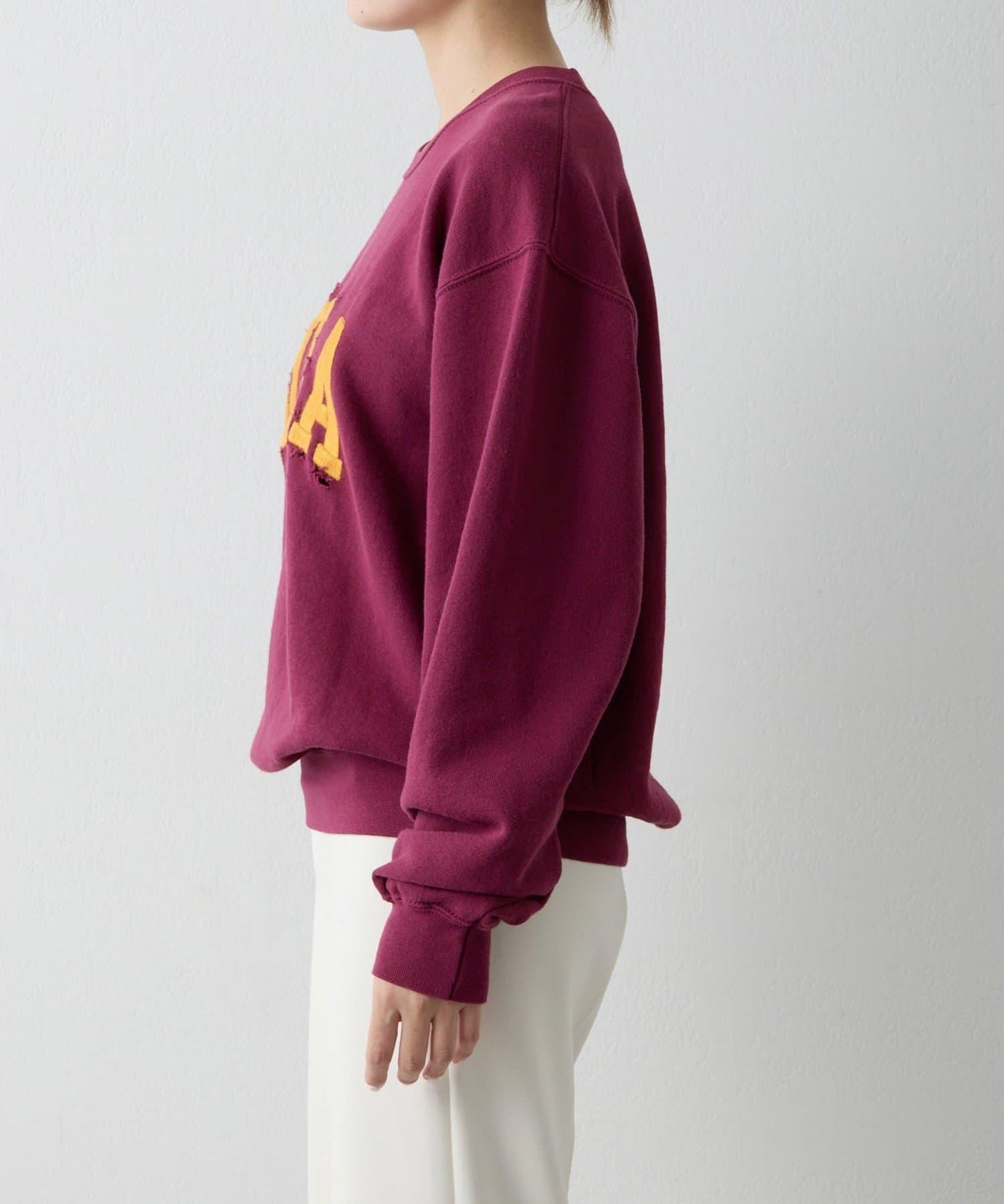 【WILD DONKEY】ROMA衛衣