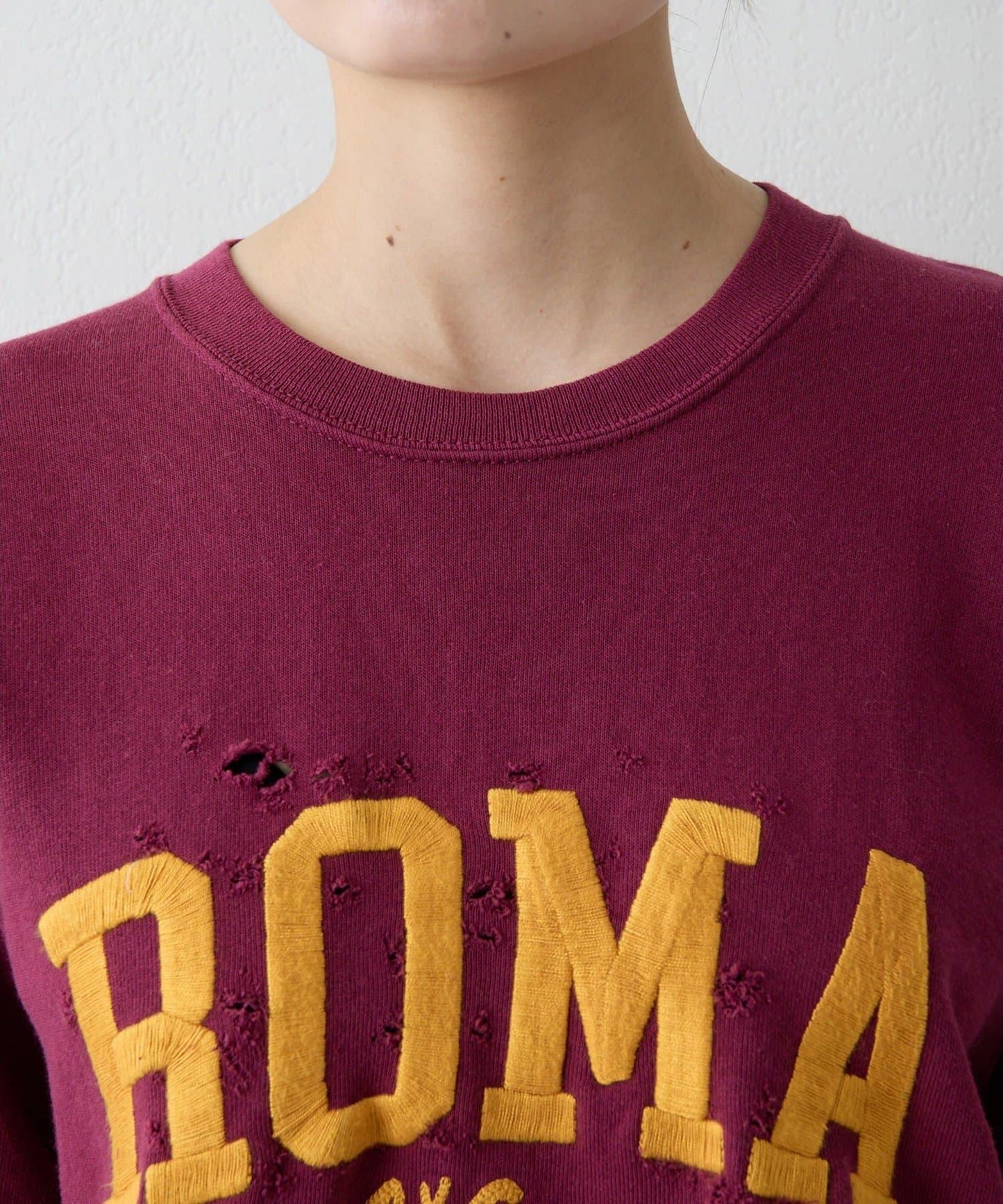 【WILD DONKEY】ROMA衛衣