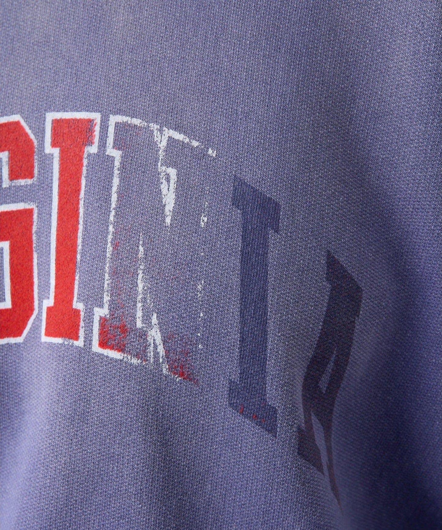 【WILD DONKEY】VIRGINIA衛衣