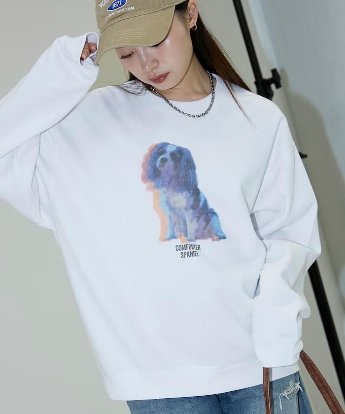 狗狗照片印花加絨衛衣套頭衫