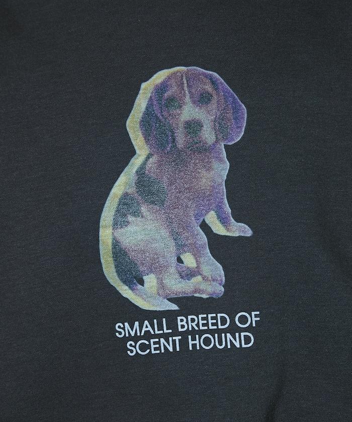 狗狗照片印花加絨衛衣套頭衫