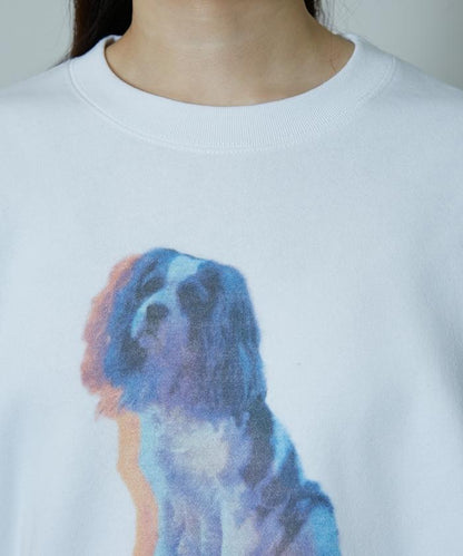 狗狗照片印花加絨衛衣套頭衫