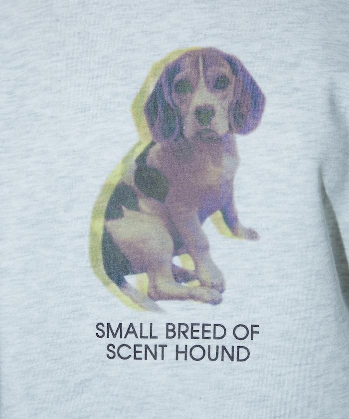 狗狗照片印花加絨衛衣套頭衫