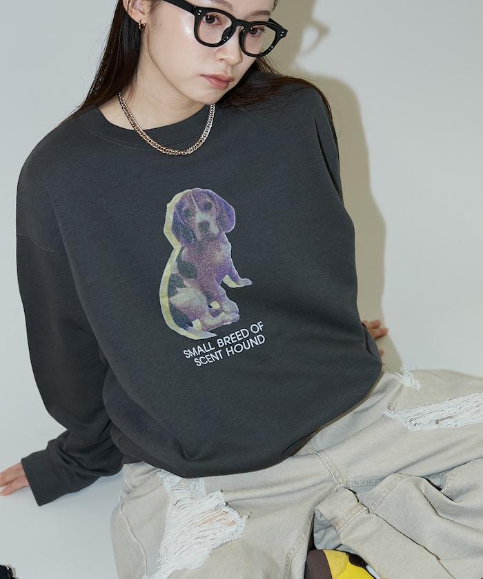 狗狗照片印花加絨衛衣套頭衫