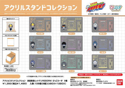 《家庭教師HITMAN REBORN!》亞克力立牌收藏 ぴっこりーず【BOX／9個裝】