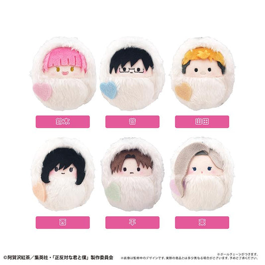 正反對的你與我 くるみたぴぬい 雪人款 【全套BOX／6個裝】